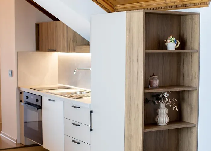 Ginger * טיראנה